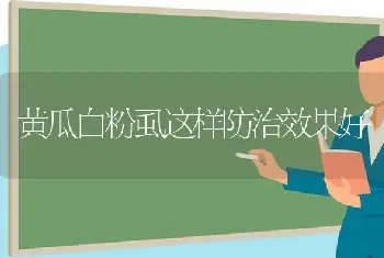 黄瓜白粉虱这样防治效果好