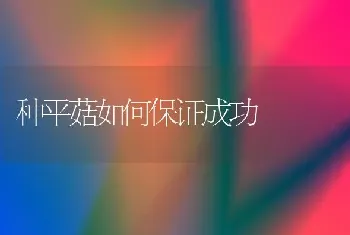 种平菇如何保证成功