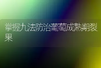 掌握九法防治葡萄成熟期裂果