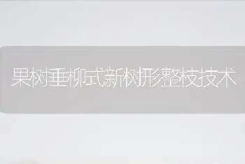 果树垂柳式新树形整枝技术