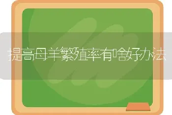 果树夏季修剪六要点