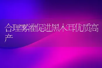 合理雾灌促进黑木耳优质高产