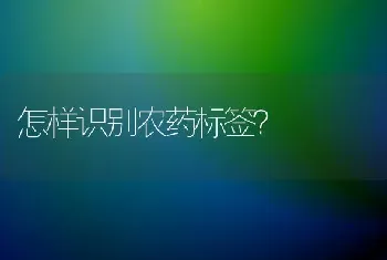 怎样识别农药标签?