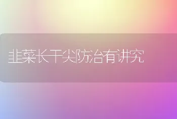 韭菜长干尖防治有讲究