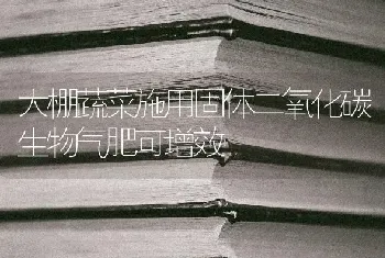 大棚蔬菜施用固体二氧化碳生物气肥可增效