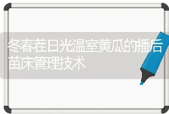 冬春茬日光温室黄瓜的播后苗床管理技术