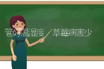 管好温湿度 草莓病害少