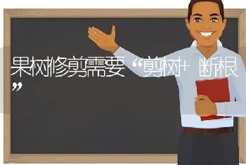 果树修剪需要“剪树+断根”