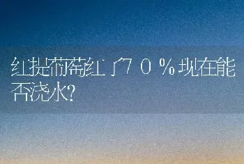 红提葡萄红了70%现在能否浇水?