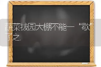 蔬菜拔园大棚不能一“歇”了之