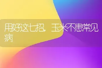 用好这七招,玉米不患常见病