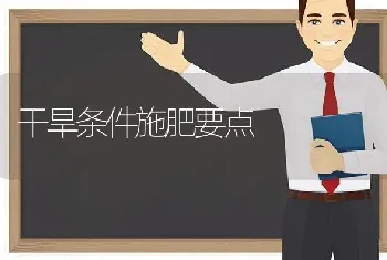 干旱条件施肥要点