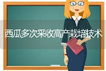 西瓜多次采收高产栽培技术