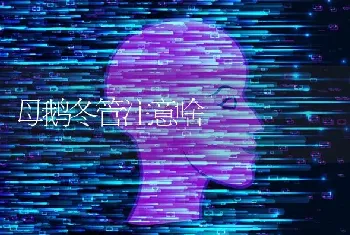 核桃树夏季怎么施肥