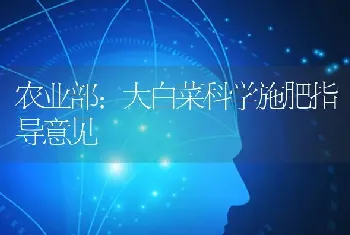 农业部：大白菜科学施肥指导意见