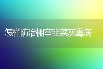 怎样防治棚室韭菜灰霉病