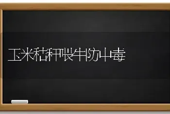 玉米秸秆喂牛防中毒