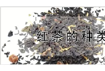 红茶的种类