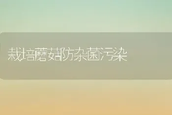 栽培蘑菇防杂菌污染