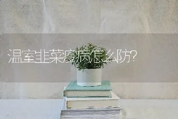 温室韭菜疫病怎么防?