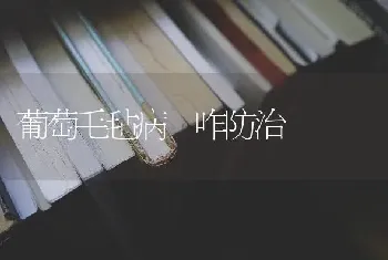 葡萄毛毡病 咋防治