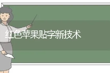 红色苹果贴字新技术