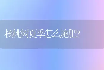 核桃树夏季怎么施肥?