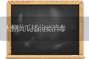 大棚黄瓜播前要消毒