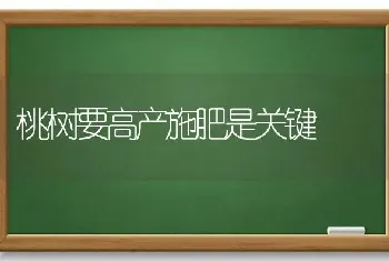 桃树要高产施肥是关键