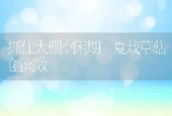 抓住大棚空闲期 夏栽草菇创高效