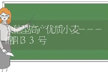 大穗型高产优质小麦---绵阳33号