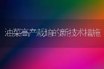 油菜高产栽培的新技术措施