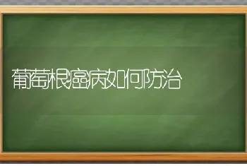 葡萄根癌病如何防治