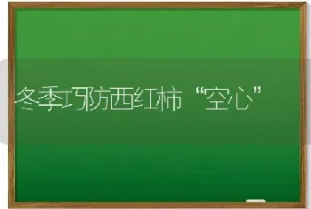 冬季巧防西红柿“空心”