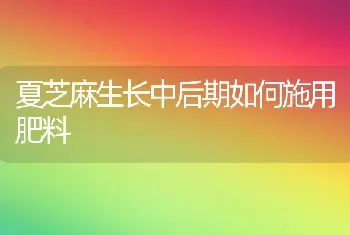 夏芝麻生长中后期如何施用肥料