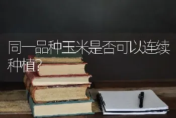 同一品种玉米是否可以连续种植?