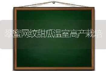 翠蜜网纹甜瓜温室高产栽培