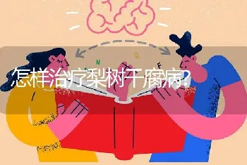 怎样治疗梨树干腐病?