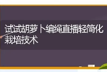 试试胡萝卜编绳直播轻简化栽培技术