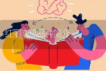 红丽南瓜品种简介