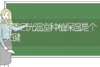 冬季日光温室种植保温是个关键