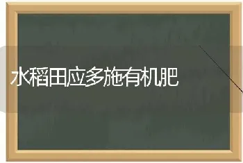 水稻田应多施有机肥