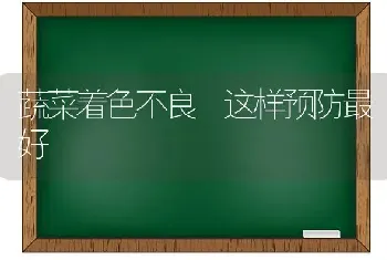 蔬菜着色不良 这样预防最好