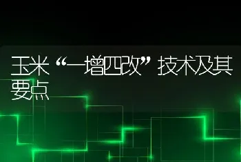 玉米“一增四改”技术及其要点