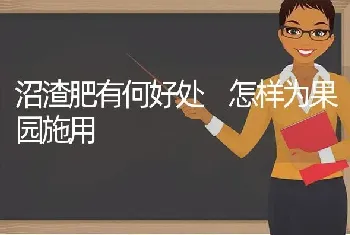 沼渣肥有何好处 怎样为果园施用