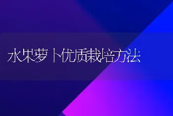 水果萝卜优质栽培方法