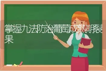 掌握九法防治葡萄成熟期裂果