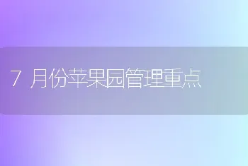 7月份苹果园管理重点