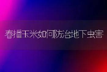 春播玉米如何防治地下虫害