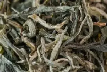 古树茶属于什么茶类档次,古树普洱茶生茶还是熟茶?